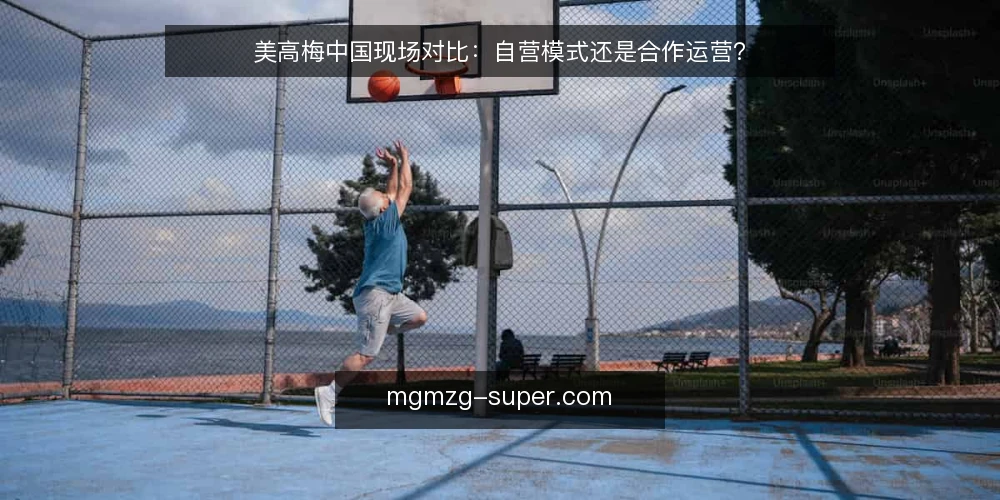 美高梅中国现场对比:自营模式还是合作运营? — 场景设定:一个区域项目的运营需求 配图