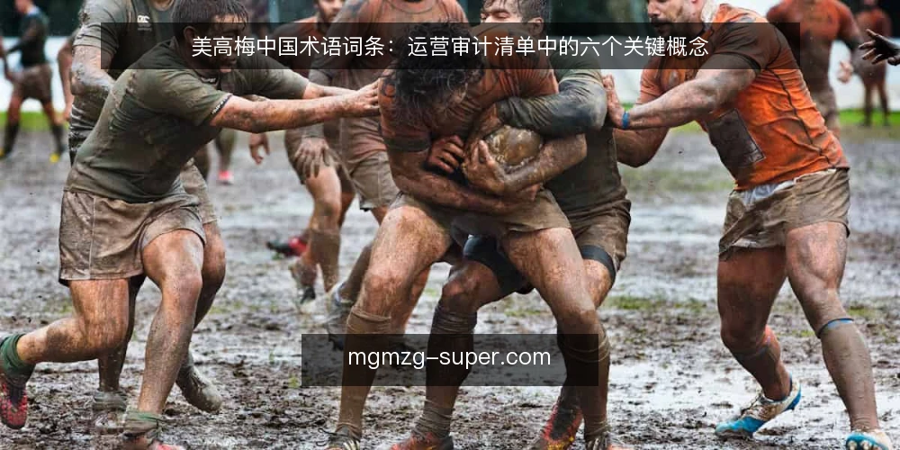 美高梅中国术语词条：运营审计清单中的六个关键概念 — 为什么要做这轮术语审计 配图