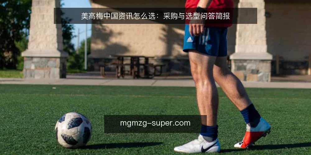 美高梅中国资讯怎么选:采购与选型问答简报 — 美高梅中国资讯到底指什么? 配图
